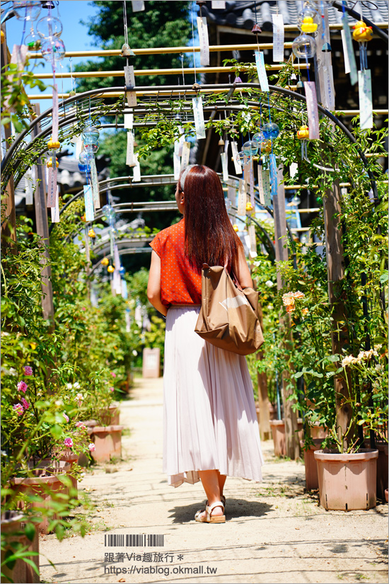 奈良景點》奈良古廟之旅～在地人才知的私房寺院看這篇：小房觀音寺／唐招提寺／西大寺