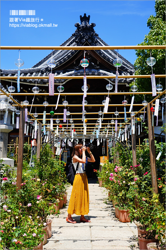 奈良景點》奈良古廟之旅～在地人才知的私房寺院看這篇：小房觀音寺／唐招提寺／西大寺