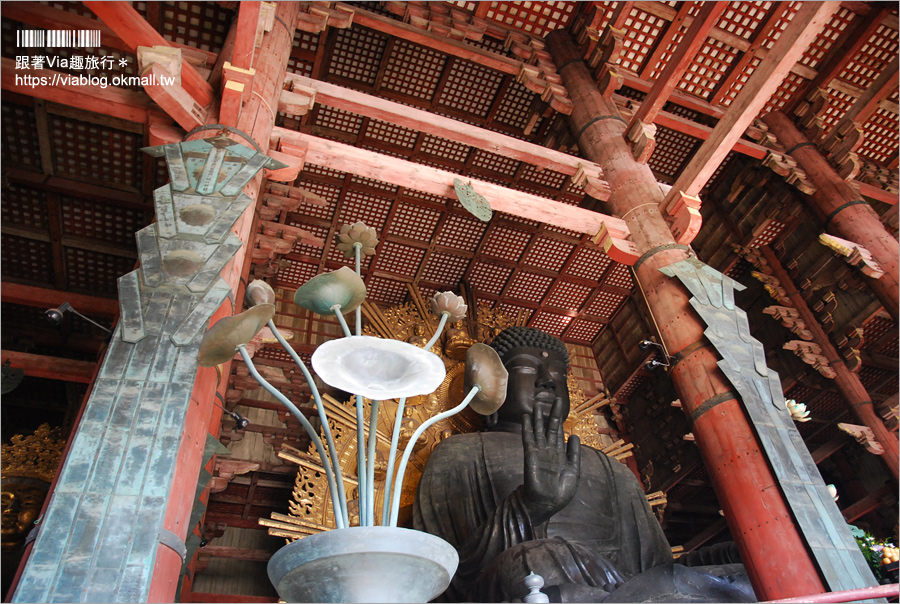 奈良一日遊》近鐵奈良站攻略～拜大佛、餵小鹿、血拼伴手禮！一日遊&住宿怎麼安排就看這篇！