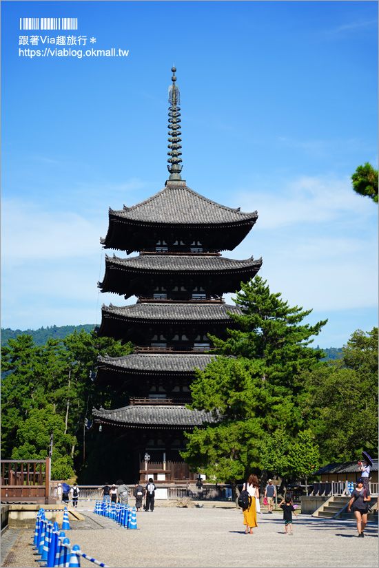 奈良一日遊》近鐵奈良站攻略～拜大佛、餵小鹿、血拼伴手禮！一日遊&住宿怎麼安排就看這篇！