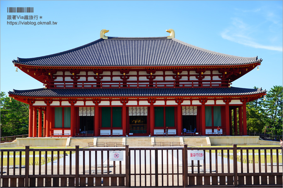 奈良一日遊》近鐵奈良站攻略～拜大佛、餵小鹿、血拼伴手禮！一日遊&住宿怎麼安排就看這篇！