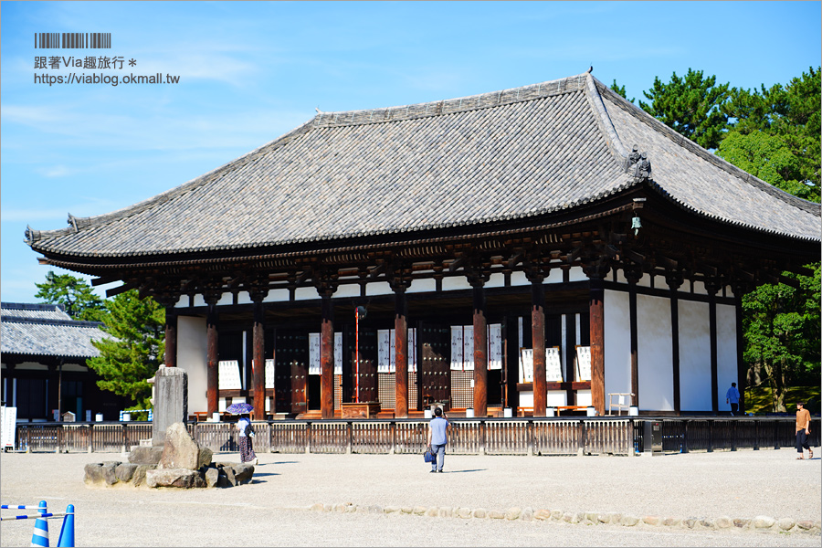 奈良一日遊》近鐵奈良站攻略～拜大佛、餵小鹿、血拼伴手禮！一日遊&住宿怎麼安排就看這篇！