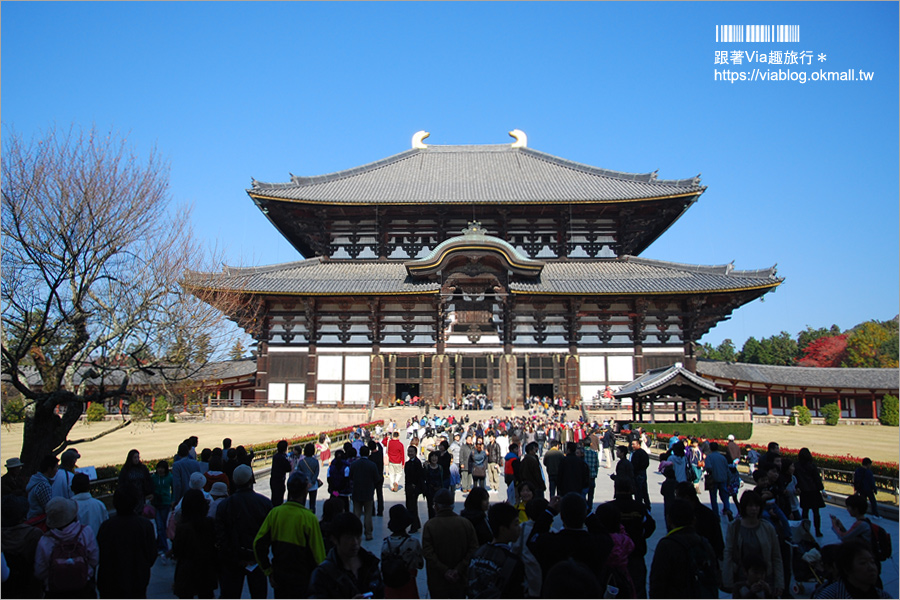 奈良一日遊》近鐵奈良站攻略～拜大佛、餵小鹿、血拼伴手禮！一日遊&住宿怎麼安排就看這篇！