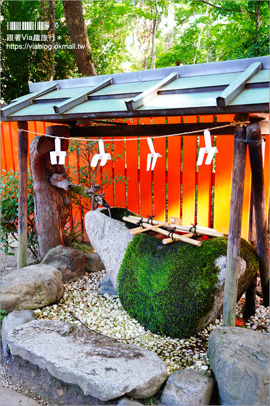 京都河合神社》日本第一美麗神神社～鏡繪馬好有趣！愛美的你一定要來的美容神社！