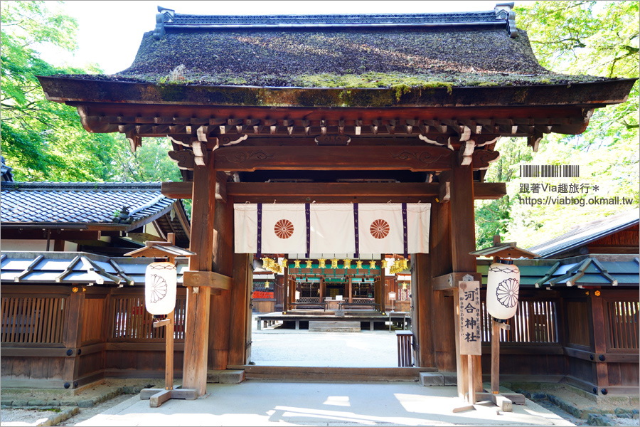 京都河合神社》日本第一美麗神神社～鏡繪馬好有趣！愛美的你一定要來的美容神社！