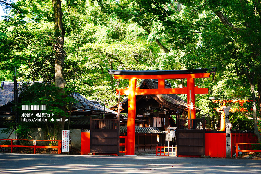 京都河合神社》日本第一美麗神神社～鏡繪馬好有趣！愛美的你一定要來的美容神社！