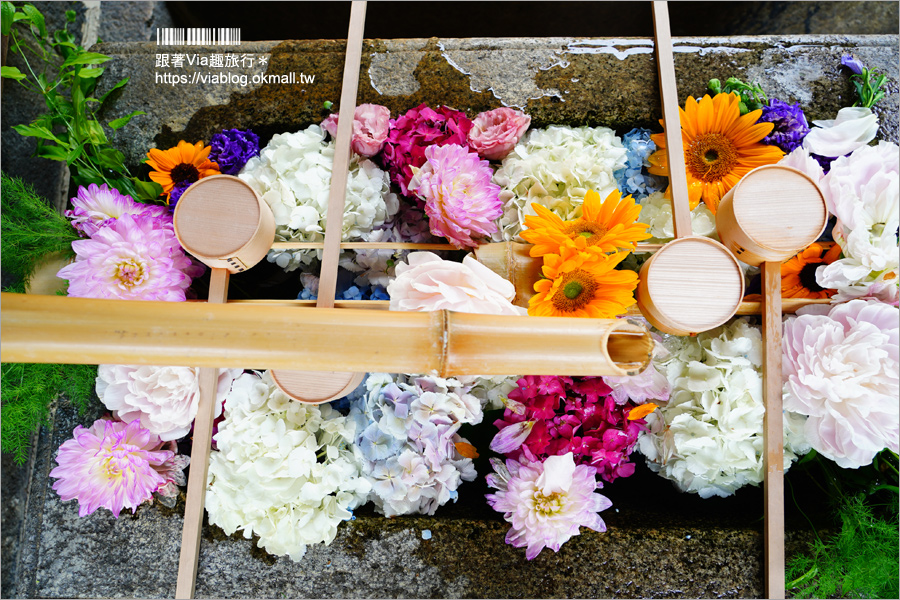 京都勝林寺》朝聖日本最夯的花幻花手水！秋季來還有「吉祥紅葉」美景的紅葉名勝！