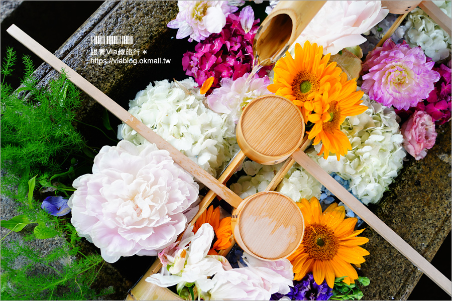 京都勝林寺》朝聖日本最夯的花幻花手水！秋季來還有「吉祥紅葉」美景的紅葉名勝！