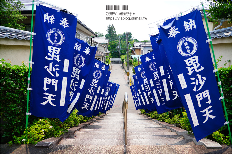 京都勝林寺》朝聖日本最夯的花幻花手水！秋季來還有「吉祥紅葉」美景的紅葉名勝！