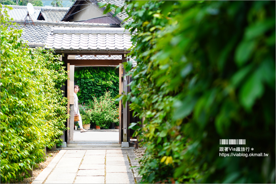 京都勝林寺》朝聖日本最夯的花幻花手水！秋季來還有「吉祥紅葉」美景的紅葉名勝！