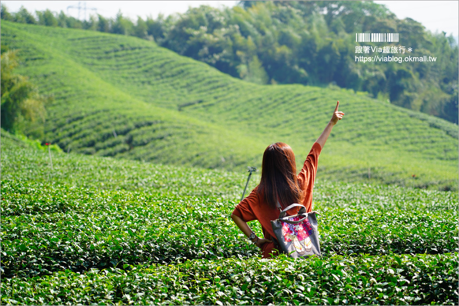 南投景點一日遊》竹山秘境小旅行～茶博廣告拍攝地的隱藏版茶園＋探訪私房瀑布吊橋美景趣！