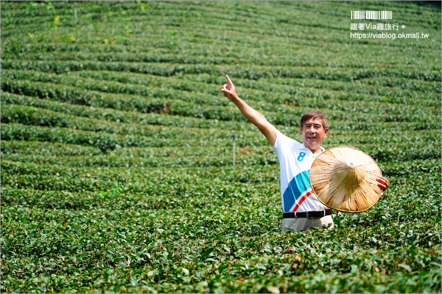 南投景點一日遊》竹山秘境小旅行～茶博廣告拍攝地的隱藏版茶園＋探訪私房瀑布吊橋美景趣！