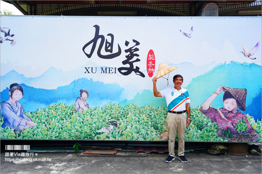 南投景點一日遊》竹山秘境小旅行～茶博廣告拍攝地的隱藏版茶園＋探訪私房瀑布吊橋美景趣！