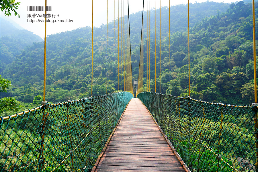 南投景點一日遊》竹山秘境小旅行～茶博廣告拍攝地的隱藏版茶園＋探訪私房瀑布吊橋美景趣！