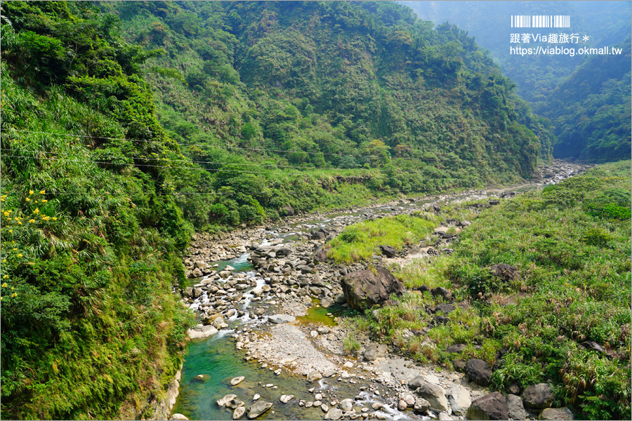 南投景點一日遊》竹山秘境小旅行～茶博廣告拍攝地的隱藏版茶園＋探訪私房瀑布吊橋美景趣！