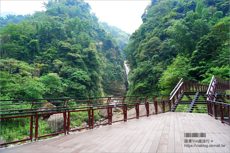 南投景點一日遊》竹山秘境小旅行～茶博廣告拍攝地的隱藏版茶園＋探訪私房瀑布吊橋美景趣！