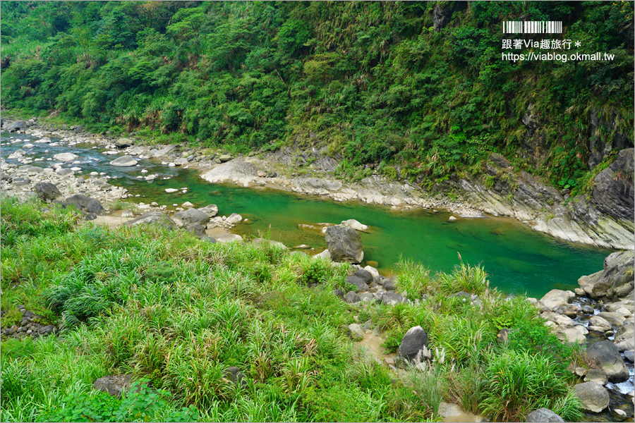 南投景點一日遊》竹山秘境小旅行～茶博廣告拍攝地的隱藏版茶園＋探訪私房瀑布吊橋美景趣！