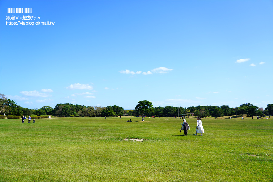 福岡景點》海之中道海濱公園～秋季夢幻波波草來囉！九州掃帚草景點推薦！※親子旅遊推薦景點※