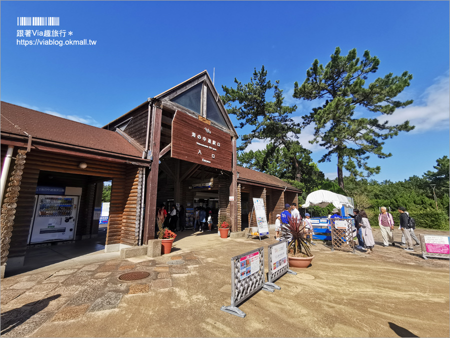 福岡景點》海之中道海濱公園～秋季夢幻波波草來囉！九州掃帚草景點推薦！※親子旅遊推薦景點※