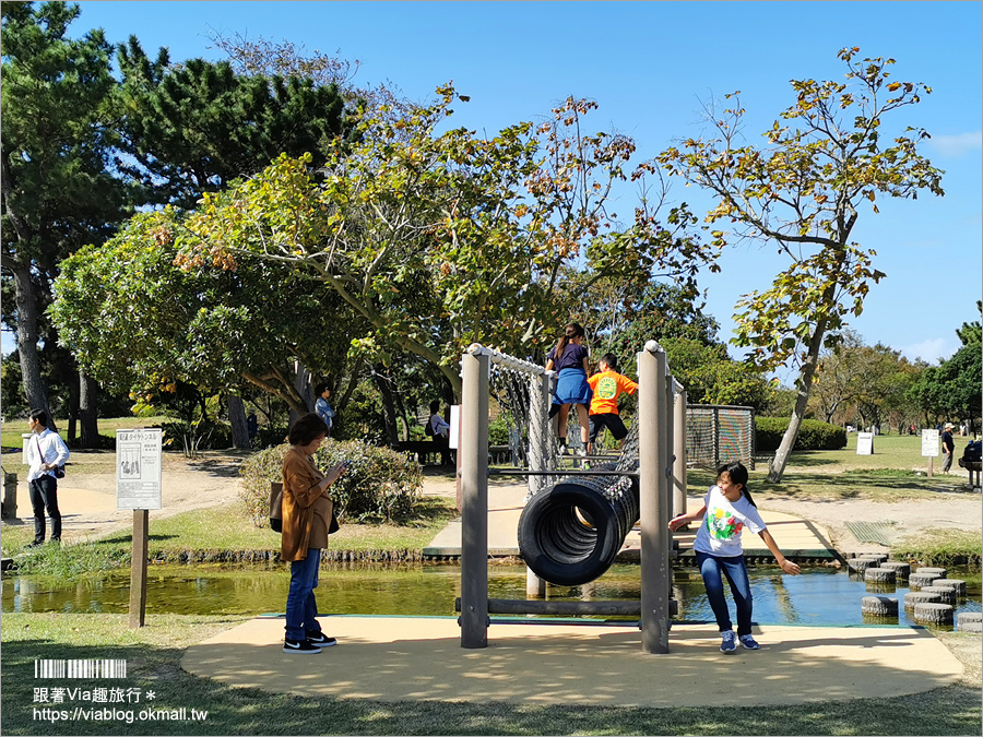 福岡景點》海之中道海濱公園～秋季夢幻波波草來囉！九州掃帚草景點推薦！※親子旅遊推薦景點※