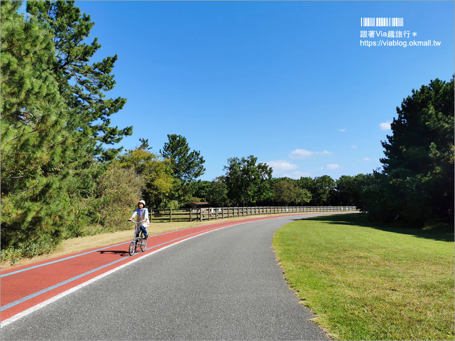 福岡景點》海之中道海濱公園～秋季夢幻波波草來囉！九州掃帚草景點推薦！※親子旅遊推薦景點※