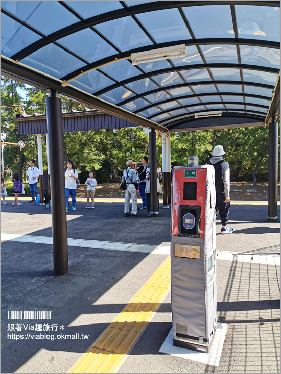 福岡景點》海之中道海濱公園～秋季夢幻波波草來囉！九州掃帚草景點推薦！※親子旅遊推薦景點※