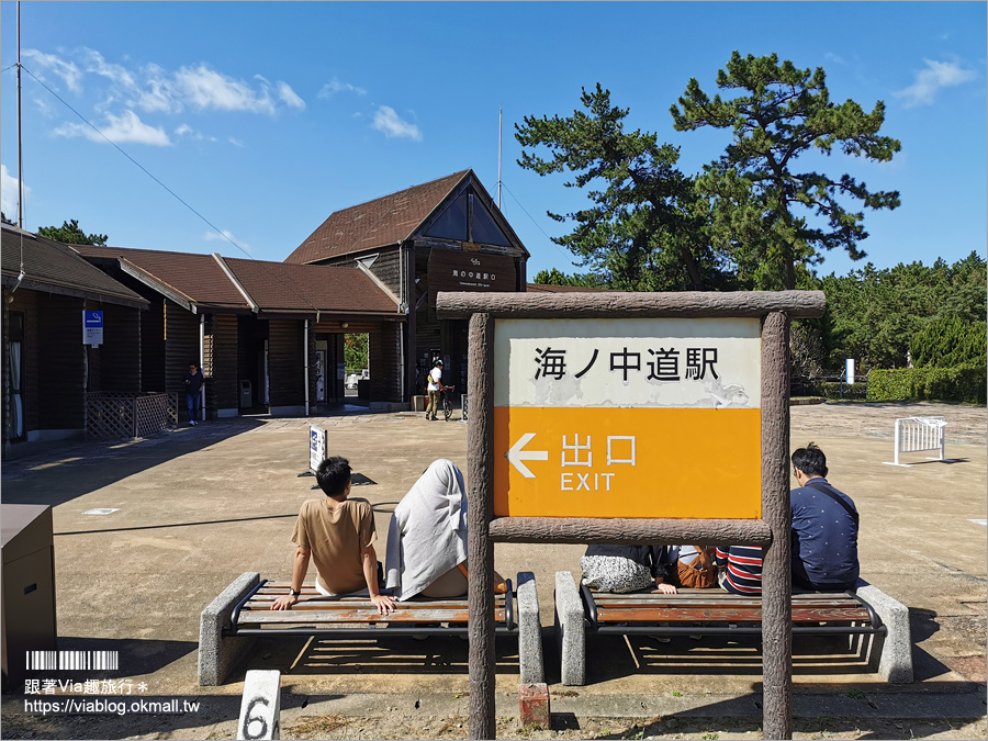 福岡景點》海之中道海濱公園～秋季夢幻波波草來囉！九州掃帚草景點推薦！※親子旅遊推薦景點※