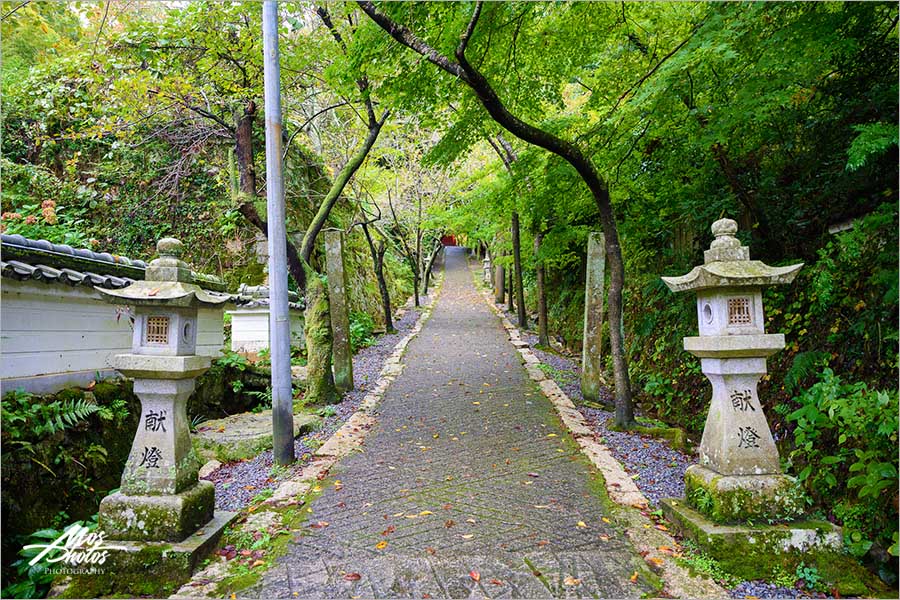 廣島咖啡廳》雪月風花 福智院～隱藏版的歷史古蹟，百年歷史和風咖啡廳～浪漫約會好去處！