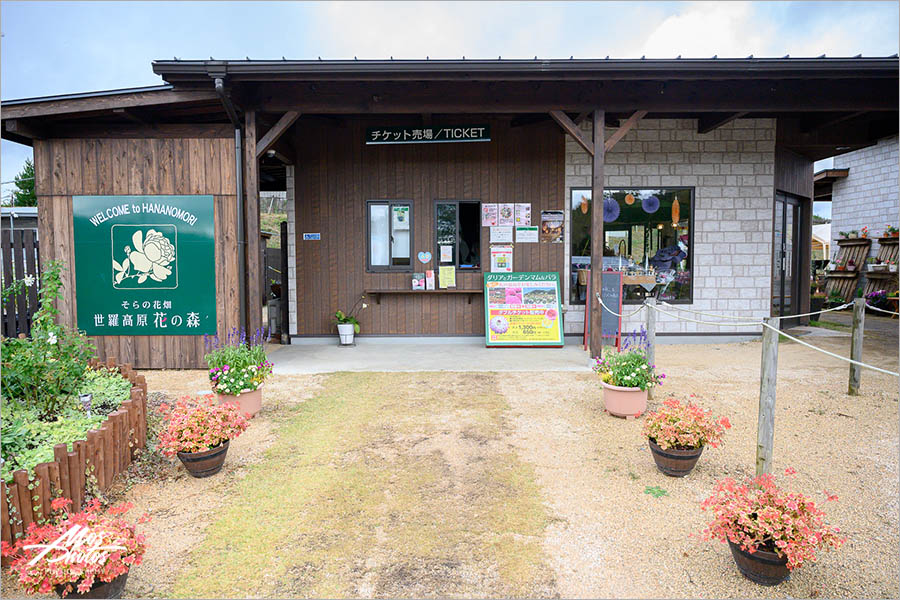 廣島旅行》微風輕旅行X空氣感寫真，沉醉在「世羅高原」迷幻的空氣氛圍～透明小清新，療癒好舒心！