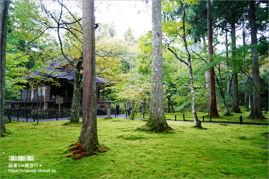 京都大原溫泉》大原之旅～變身大原女！遊訪三千院、寶泉院和入住芹生溫泉旅館來趟精彩的二日小旅行