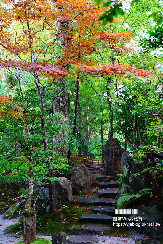 京都大原溫泉》大原之旅～變身大原女！遊訪三千院、寶泉院和入住芹生溫泉旅館來趟精彩的二日小旅行