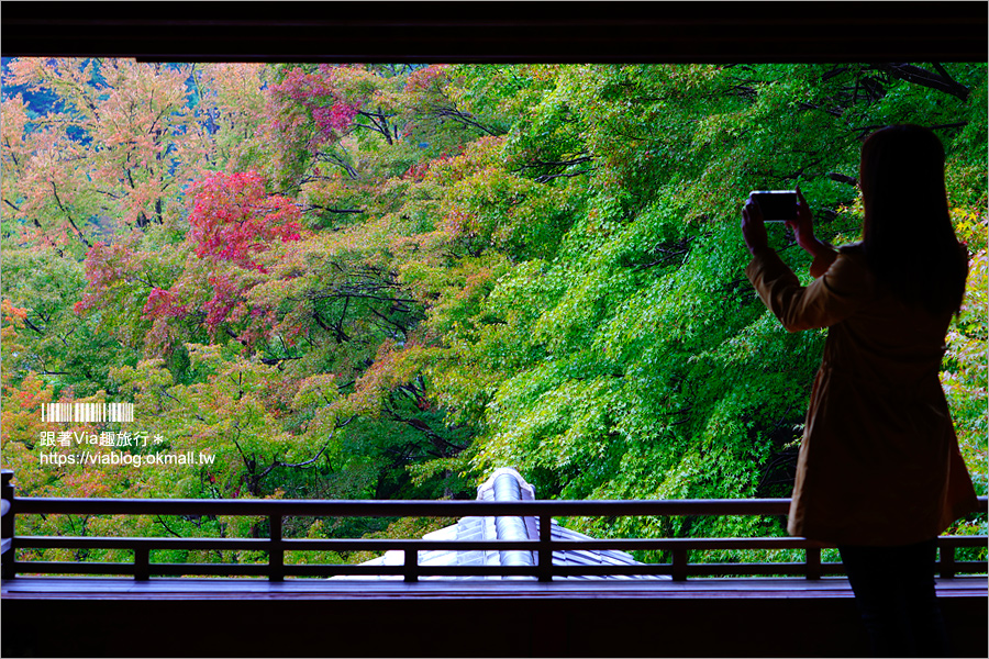 京都大原溫泉》大原之旅～變身大原女！遊訪三千院、寶泉院和入住芹生溫泉旅館來趟精彩的二日小旅行