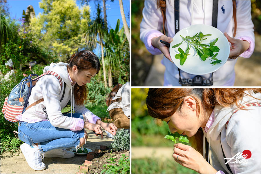 台中新社薰衣草節》薰衣草森林X鮮乳坊，揭開紫色香草序幕～追尋夢想的初心，在森林裡同樂開趴踢！！