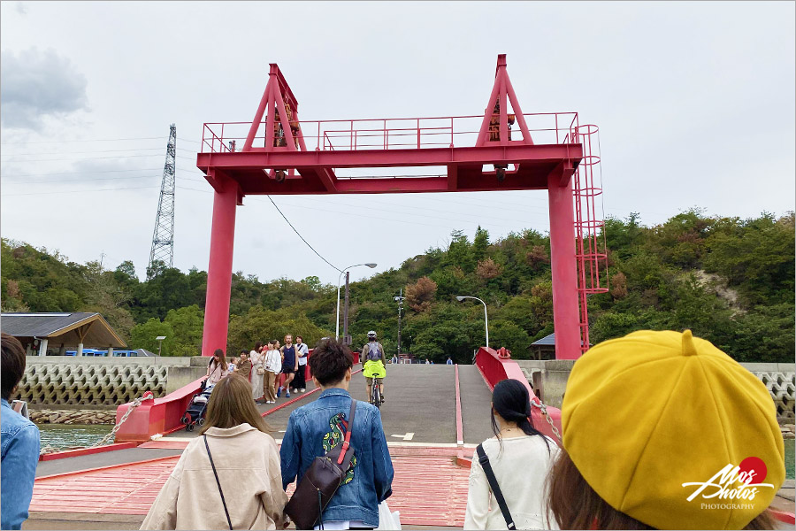 廣島大久野島》必去超萌兔子島～最療癒的小島，萌呆可愛的兔樂園，成群萌兔信徒跟著你～