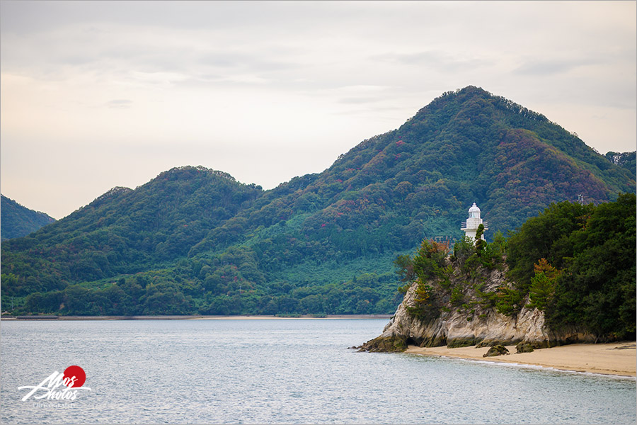 廣島大久野島》必去超萌兔子島～最療癒的小島，萌呆可愛的兔樂園，成群萌兔信徒跟著你～