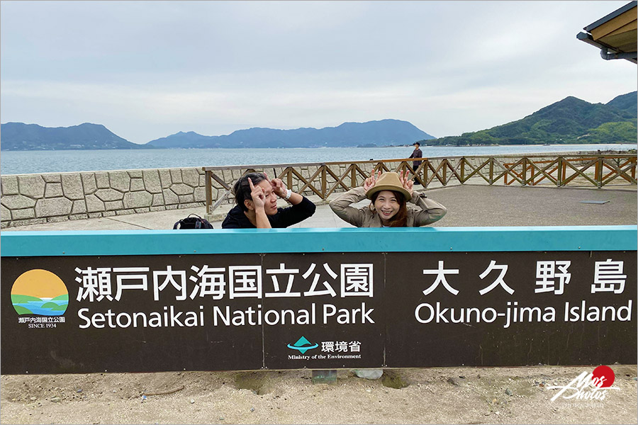 廣島大久野島》必去超萌兔子島～最療癒的小島，萌呆可愛的兔樂園，成群萌兔信徒跟著你～