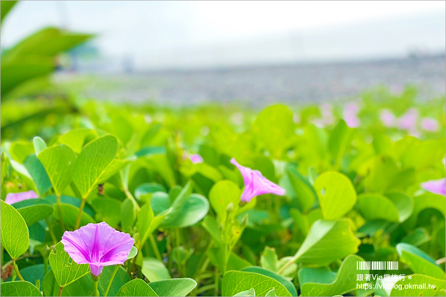 沙發推薦》台灣本土品牌：Qbit翻轉沙發~超瘋狂企劃！直接帶著沙發一起趣旅行，積木式組合沙發玩出新創意！