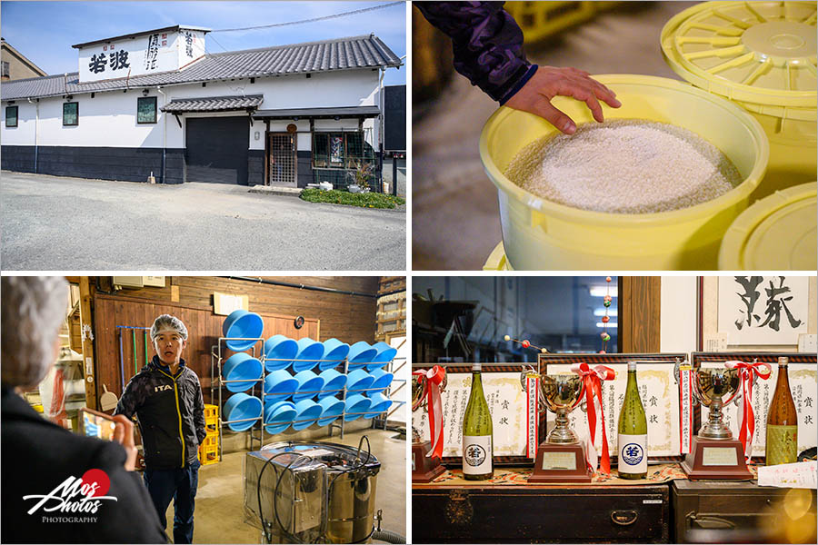 九州福岡懶人包》福岡近郊三天兩夜旅行～第一天：水鄉澤國柳川遊船／女兒節／大川風浪宮例大祭／採草莓，多元行程全攻略！