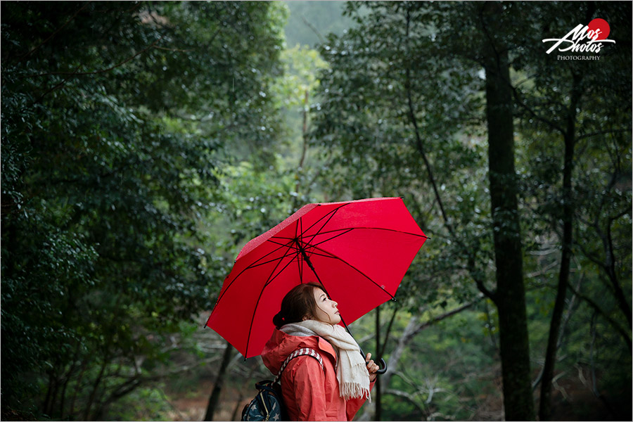 九州自助旅行》福岡近郊三天兩夜旅行～第二天：筑後戀木神社／九州藝文館／八女熊和太陽鐵板漢堡肉／森林散策，好吃好玩追這篇！