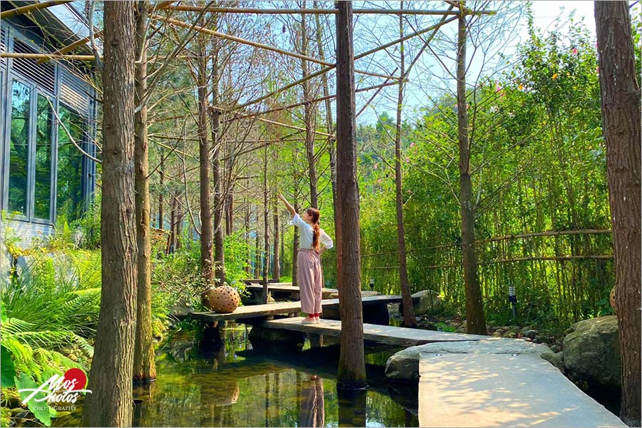 台中大坑餐廳》澄石享自在蔬食景觀餐廳，水漾落羽松木棧道，台中近郊新秘境！