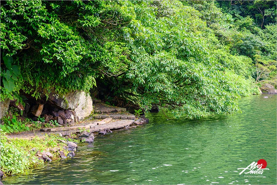 宜蘭龜山島》頭城龜山島半日遊～登島、繞島、追鯨豚，體驗自然生態與歷史巡禮，新鮮有趣又好玩～～