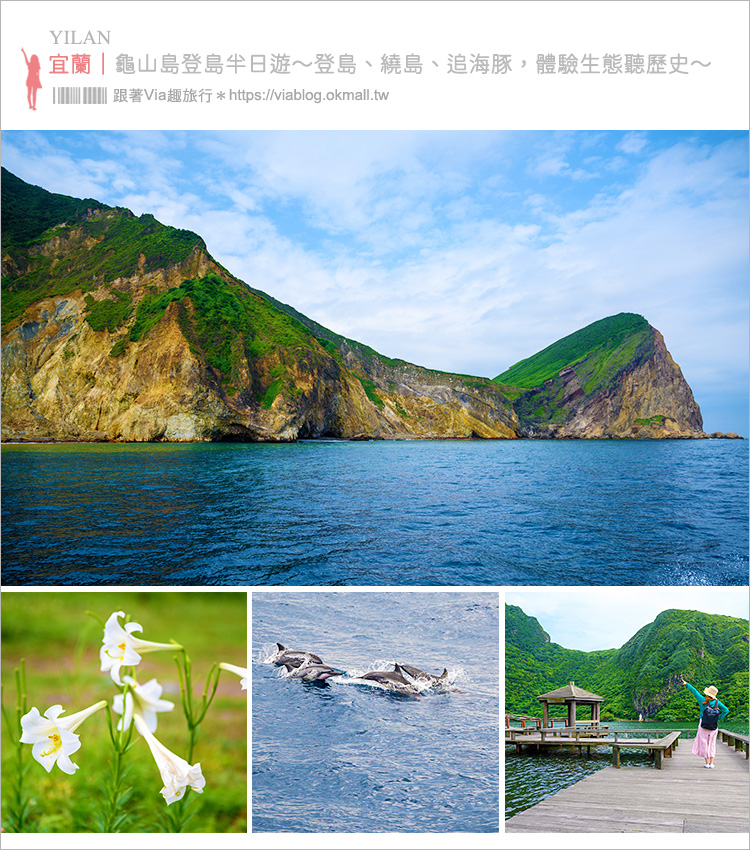 宜蘭龜山島》頭城龜山島半日遊～登島、繞島、追鯨豚，體驗自然生態與歷史巡禮，新鮮有趣又好玩～～