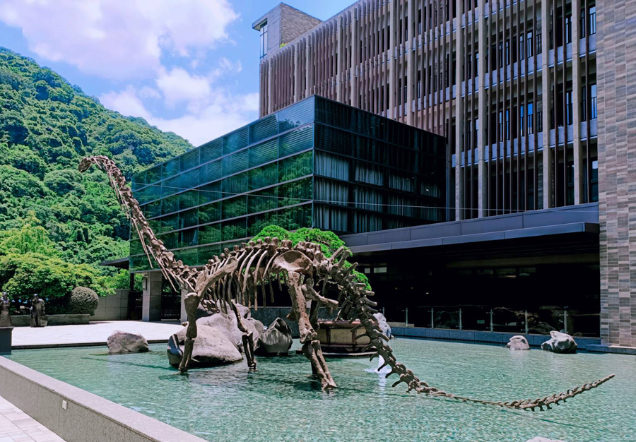 台北溫泉推薦》三峽大板根溫泉渡假村～森林漫步、溫泉SPA雙重滿足！三代同堂都能歡樂共遊的夢幻渡假村！