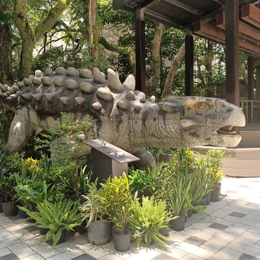 台北溫泉推薦》三峽大板根溫泉渡假村～森林漫步、溫泉SPA雙重滿足！三代同堂都能歡樂共遊的夢幻渡假村！