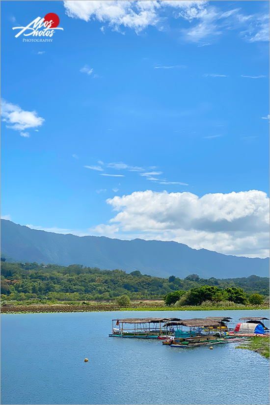 台東景點推薦》台東山線一日遊～花東縱谷無敵大景，在地小吃全蒐錄，愛拍美照的旅人看這裡！