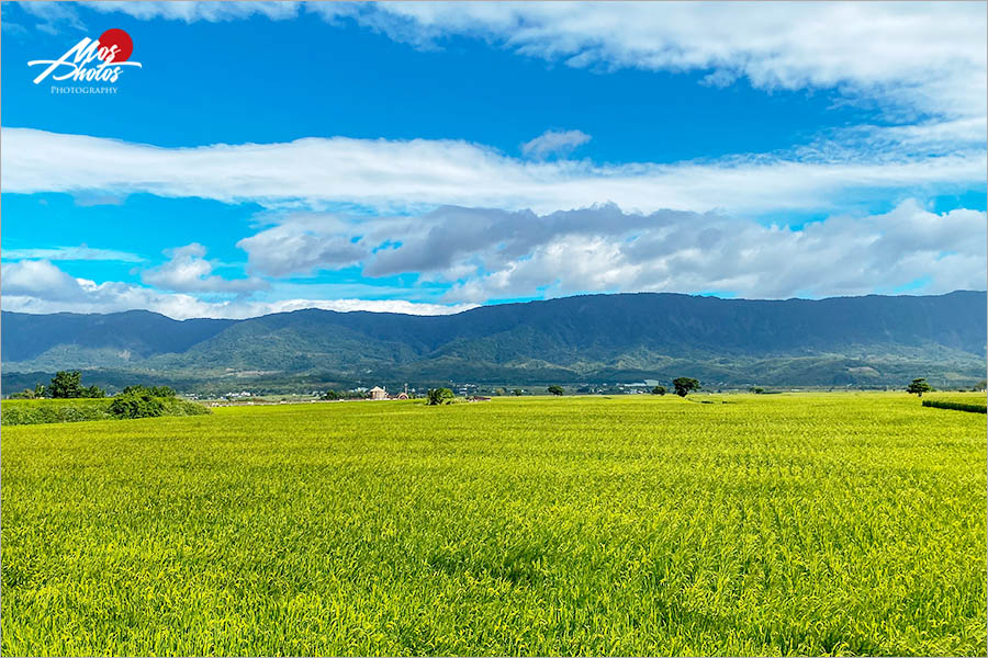 台東景點推薦》台東山線一日遊～花東縱谷無敵大景，在地小吃全蒐錄，愛拍美照的旅人看這裡！