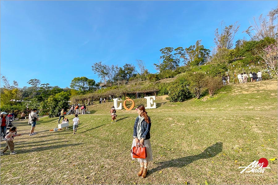 苗栗頭屋》橙香森林景觀餐廳～橘子隧道異國風，迷人夕陽夢幻打卡點，喜歡拍美照必來！