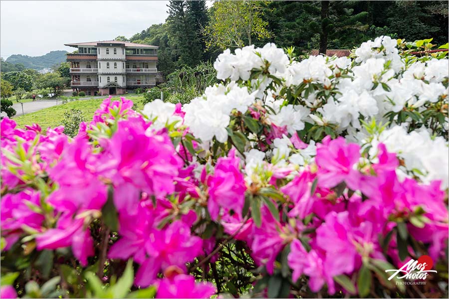 宜蘭頭城住宿》馥蘭朵里山度假村～森林散步、藝術文化、美味料理，喜愛大自然親子旅遊，這團必追！！