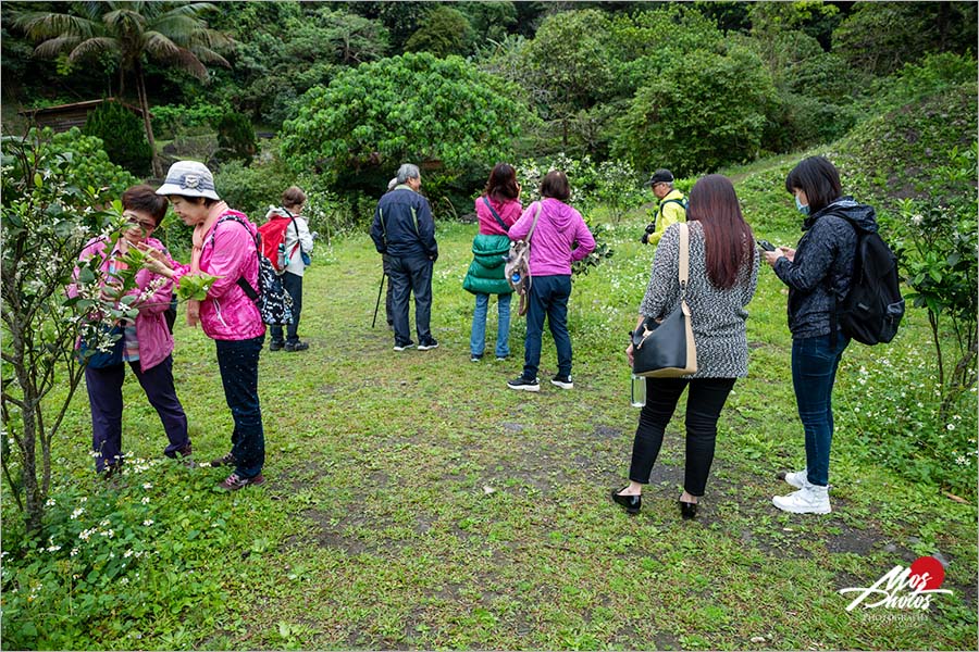 宜蘭頭城住宿》馥蘭朵里山度假村～森林散步、藝術文化、美味料理，喜愛大自然親子旅遊，這團必追！！