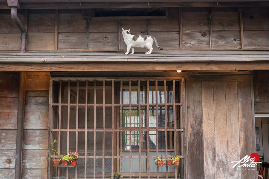 宜蘭老宅咖啡館》田塬藝文咖啡館～日式老宅咖啡店，喝咖啡聽歌仔戲，一起溫習老台灣！